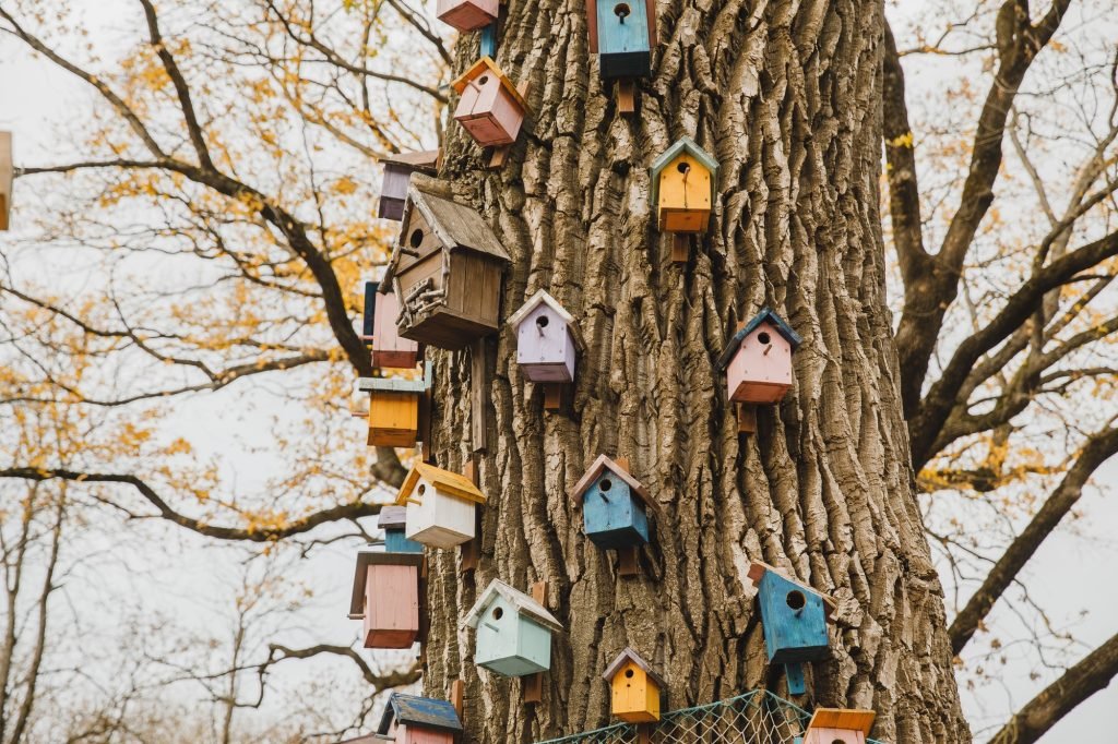 Multi-colored birdhouses. Colored birdhouse. Colorful bird houses. Treehouses for birds. a lot of